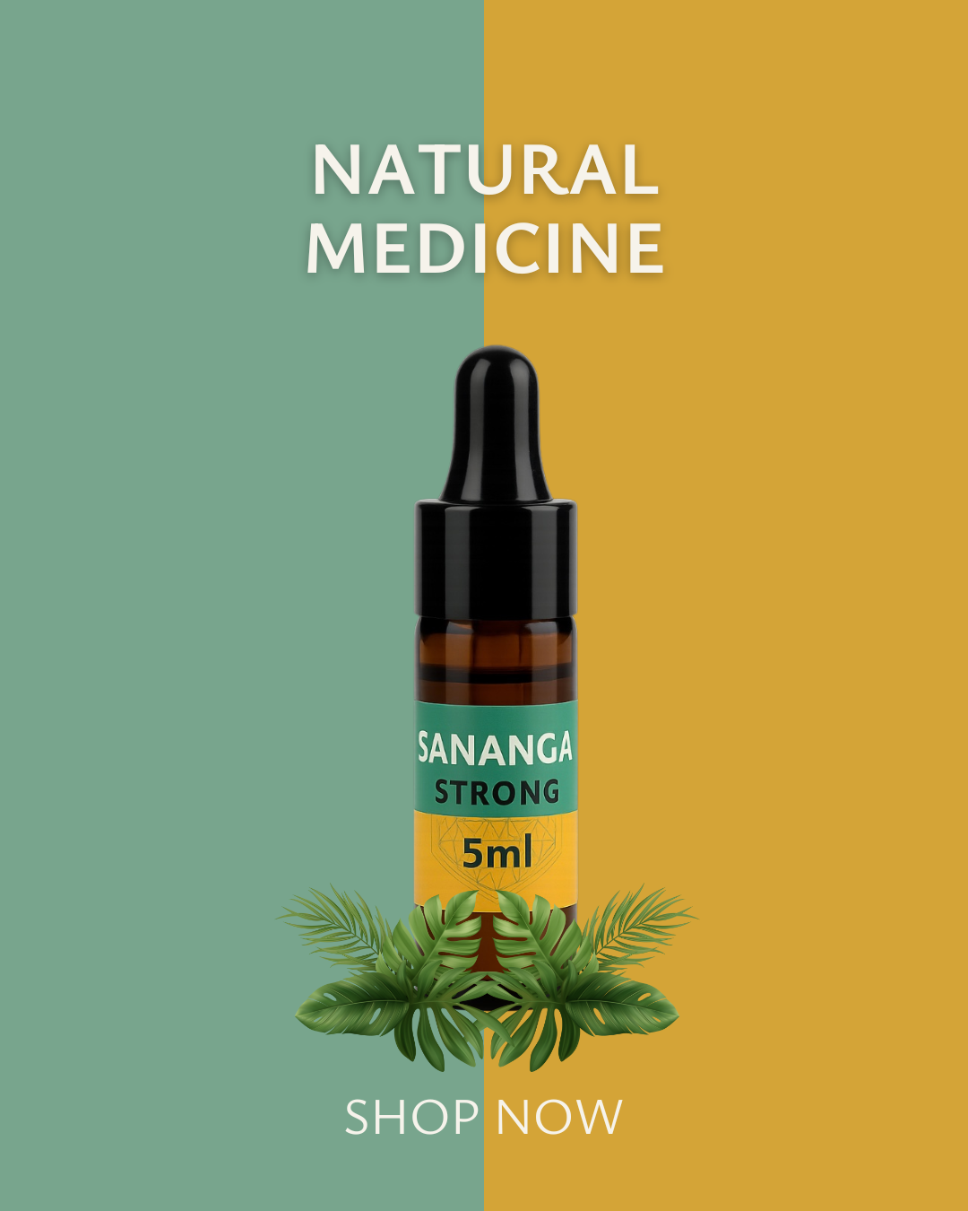 Sacred Plant Medicines – Dragon’s Blood, Chilcuague & Sananga